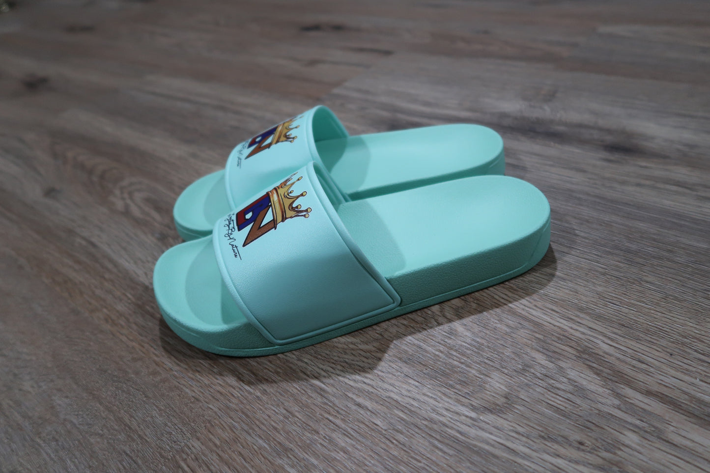 Mint Green V2 Slides