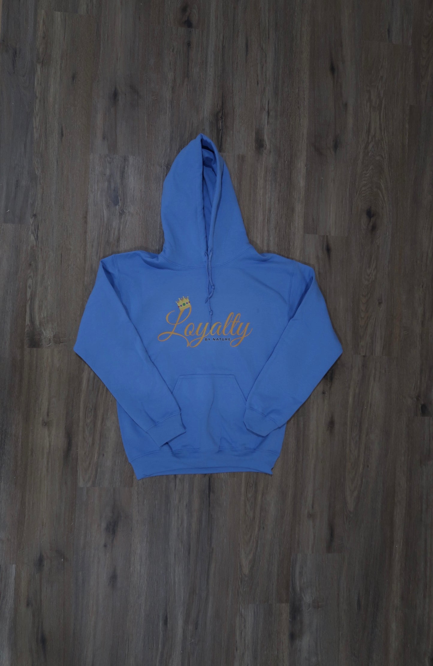 Carolina Blue Hoodie