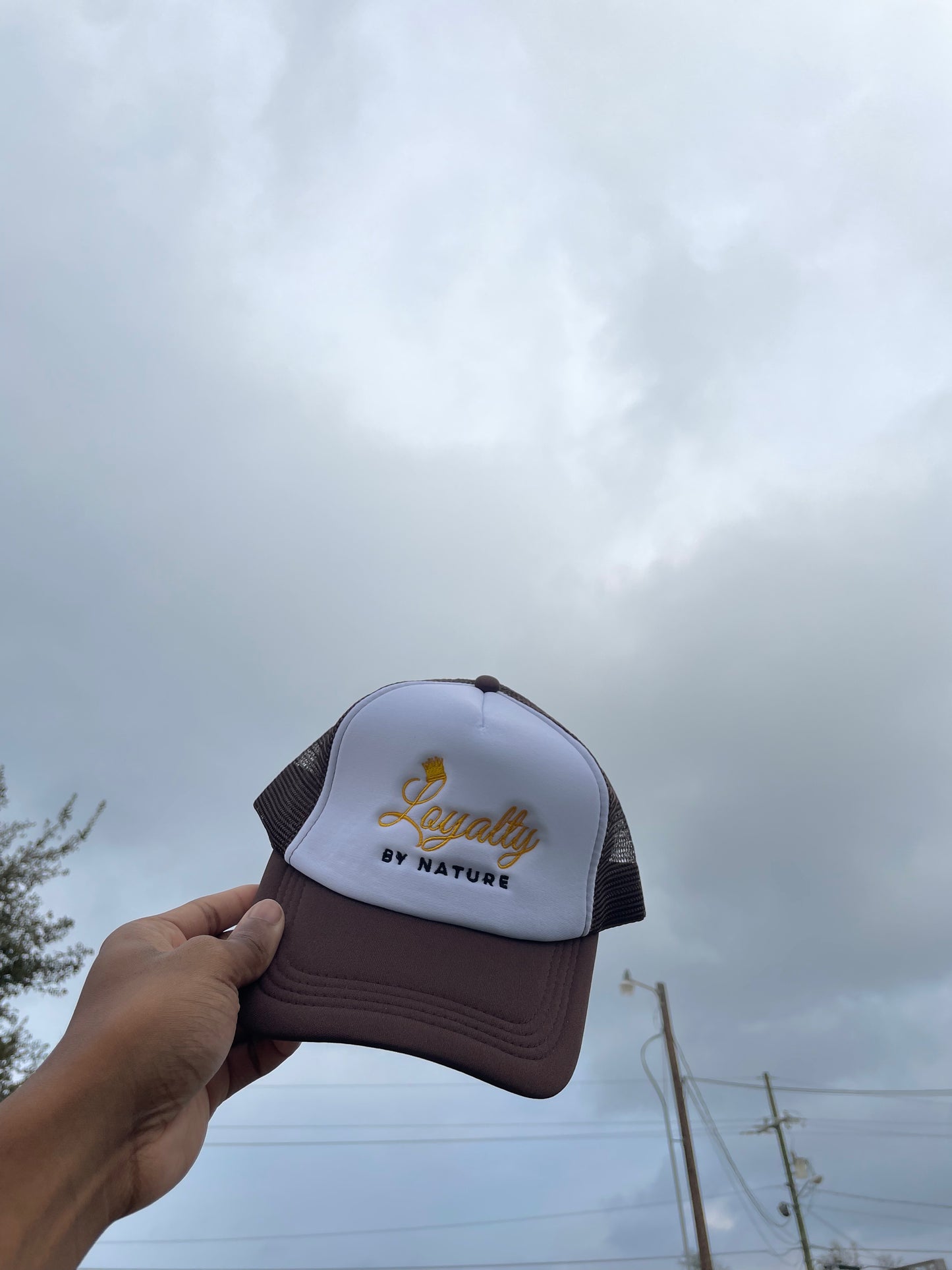 Dark Chocolate Trucker Hat