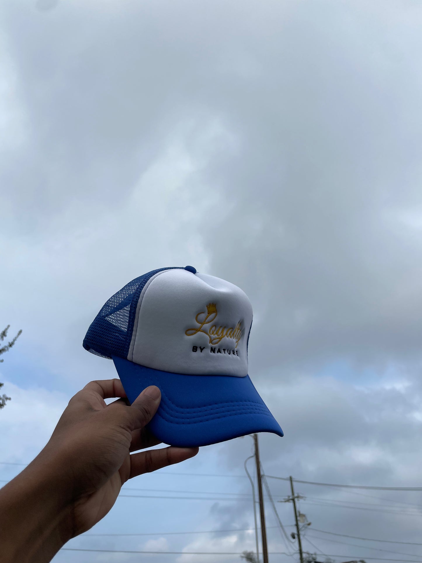 Royal Blue Trucker Hat