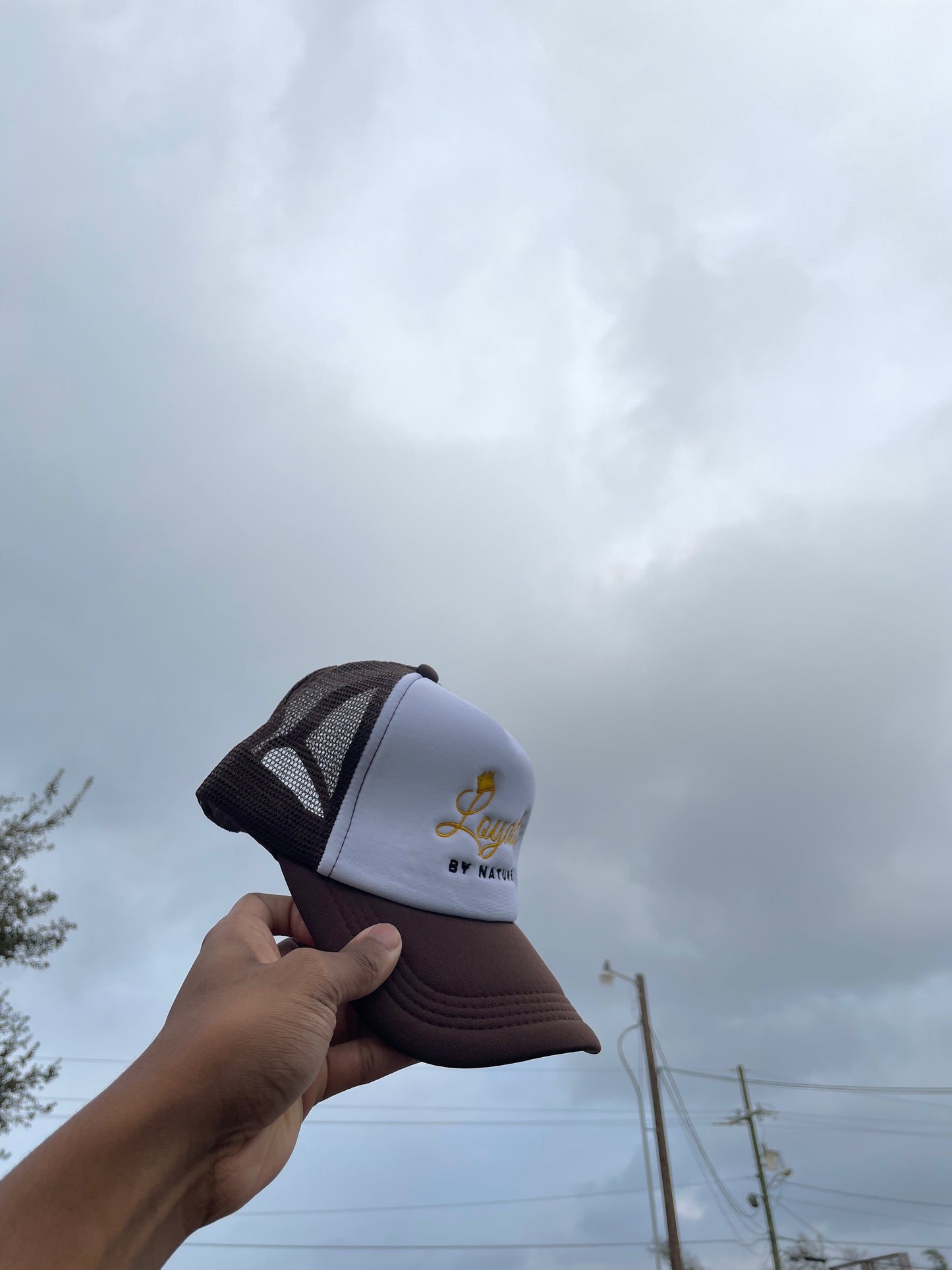 Dark Chocolate Trucker Hat